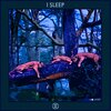 No Spirit - I Sleep