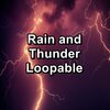 Nature Sounds for Sleep and Relaxation、Nature Sounds、Nature Sounds Nature Music - Calm Rain For Spa and Relaxation To Help You Sleep