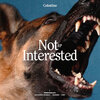 Celestino - Not Interested (Original Mix)