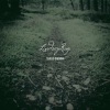 Lindsey Ray - This Is Survival