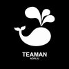 Teaman - Nopliu