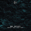 Mr. Heyley - What Did You Say