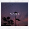沈菁冰 - 夏天的风