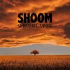 Shoom - Separate Minds