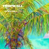 Pan On De Run、Casey Jones - Tropicali