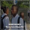 Insane Malwela - Machaba Sekolo