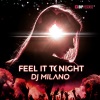 Dj Milano《Feel It Tonight》[MP3/LRC]