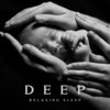 Deep Sleep Music Maestro - Sleepy Birdsong