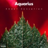 Julien Aquarius、Aquarius - C-Walk