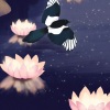 放松睡眠音乐 - 花香鸟语 (背景纯音乐)