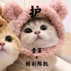 卿词、青菜 - 护