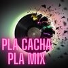 Dj Regaeton - Pla Cacha Pla Mix