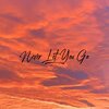 Rose Venom、Daniel Swags - Never Let You Go (feat. Daniel Swags)
