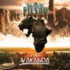 Black Picsou - Desole
