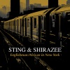 Shirazee、Sting《Englishman / African in New York》[MP3/LRC]