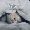 Relaxing Cat Music《Calm my Cat Music》[MP3/LRC]