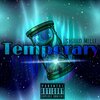 Shaun Milli - Temporary