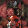 梦归处 - 她本身