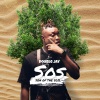 Doublejay - Amina