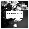 Napoleon、Napoleon - The Darkest Part of Me (Explicit)