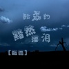 酝磊 - 酝磊的残念