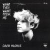 Gavin Magnus、Jam Jr. - What They Want From Me