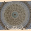 Alec Makinson - Capitol Idea