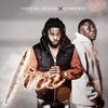 Sunshine Soldier、Stonebwoy - FIRE