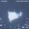 Leo Sawikin - A Whole World Waiting