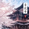 温奕心 - 青龙寺
