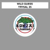 Wild Guess《Trysal 35 (Original Mix)》[MP3/LRC]