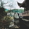 杨紫怡 - 鹤别青山