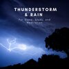 Natural Sounds Selections、Zen Sounds、Nature Sound Collection - Middle of the Monsoon