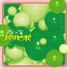カメレオ - The wondrous world