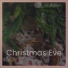 Jaroslav Pevno - Christmas Eve