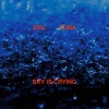 ZHU、Yuna - Sky Is Crying
