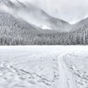 Christmas Spirit、Classical Christmas Music and Holiday Songs、Relaxation Meditation Songs Divine - Holiday Cheer