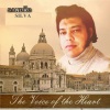 Sandro Silva - Escravo do Teu Amor