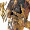 Gabriella - Cicatrices