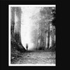 Hakobune - Lights That Gradually Fade Away