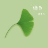 杨博然 - 绿色 (男版)