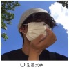 在忠、枫总、尹飞 - 奔赴山海
