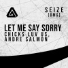 Chicks Luv Us《Let Me Say Sorry》[MP3/LRC]