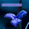 Piano del Mar - Such a Scent (WaterVersion)