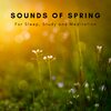 Natural Sounds Selections、Zen Sounds、Nature Sound Collection - Spring is Here