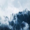 沐稍 - 九万字