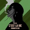 Weathers - C'est la vie (Cinematic Mix)
