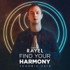 Andrew Rayel《Find Your Harmony (FYHYM2019)(Intro)》[MP3/LRC]