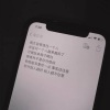 陈淑佳 - 刺猬