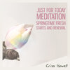 Criss Howell - Just for Today Meditation